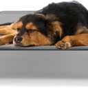 Elevated Dog Bed, 35 x 28 x 8 inches (Small, Grey)