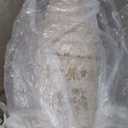 Loloi Rifle Paper Co. Canopy Collection CNP-05 Ivory 7'-6" x 9'-6" Area Rug