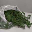 Palonu 2 Pcs 9Ft Artificial Norfolk Garland, Faux Christmas Greenery Touched Like Real Needles Pine, Decoration for Table Mantle Wall Porch Fireplace Indoor Outdoor Winter Holiday Dcor