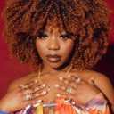 Curly Wig Afro Curly Wigs for Black Women Afro Kinky Curly Wig With Bangs Full and Fluffy Glueless Wig Synthetic Hair Replacement Wigs for Cosplay and Daily (14 Inch, Ombre Brown)