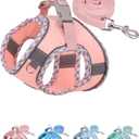 Petank Dog Harness for Small Medium Dogs No Pull, Puppy Harness and Leash Set, Step in Dog Harness for Walking, Running, Training, Small Dog Vest (Pink, XXS)