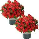 Artificial Flowers for Outdoors, 2 Set Fake Potted Flowers 12 Bundles UV Resistant Realistic Silk Faux Impatiens with Pot for Outside Balcony Garden Window Box, Red