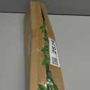 Fake Plants Eucalyptus Stems,Plastics Ficus Stems for Vase Artificial Plants,Greenery Stems Branches for Vase Faux Plants Indoor,Faux Greenery Indoor Vase Fillers for Home Decor 4Pcs Green