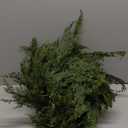 Christmas Garland 9 Ft Realistic Cedar Cypress Pine Greenery Garland Faux Christmas Garland Decorations for Mantle, Fireplace, Table, Stairs, Doors, Porch, Indoor Outdoor Christmas Decorations