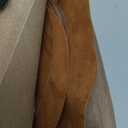 PATIKIL Iron-on Patches 4.3" by 5.5", 6 Pack Oval Elbow Patches Knee Repair Patch Suede Fabric Appliques for Shirt Jeans Jacket Clothes Repair Decorating Kit, Camel