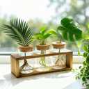 Pechaut Propagation Stations, Plant Terrarium for Indoor Hydroponic Decor, Glass planters for Fresh Cuttings, Unique Birthday Gifts for Women & Mom, Home/Office Decor