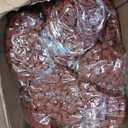 Purina Moist & Meaty Soft Dog Food Pouches, 36 ct (EXP 01/01/27)