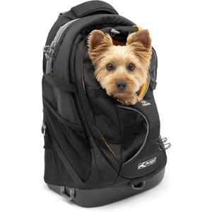 Kurgo G-Train Dog Carrier Backpack - Comfortable Travel Bag for Pets Up to 25 lbs - Waterproof Bottom - Multi-Compartment Pack - Dog Hiking Gear - Rugged Adventure Backpack - Black