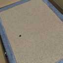 Xin Three Layer Cat Tree with Cat Condo and Two Hammocks,Grey (Small)