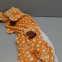 EASUIT Kids Cartoon Animal Onesie Jumpsuit Plush Suit Halloween Christmas Birthday Party Unisex For Girls Boys (Orange)