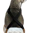 Paw Inspired Dog Diaper Suspenders with Velcro Fasteners | Stretchy Adjustable Suspenders for Female and Male Disposable and Washable Diapers | Fits Small, Medium and Large Size Pets (XS/S, Black)