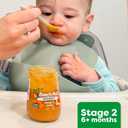 Beech-Nut Baby Food Pouches Variety Pack, Veggie Purees, 3.5 oz (18 Pack)