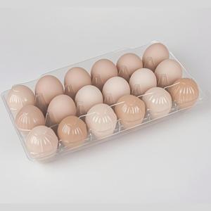 60 60 Pack Plastic Egg Carton 3x6 BulkEgg Cartons 18 Reusable Transparent Egg Storage, Can Hold Up to 18 Eggs, Suitable For StoringEggs in Farmers' Markets, Supermarkets, Kitchens