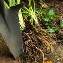 Root Slayer 22011 Garden Shovel, Serrated Blade, Red