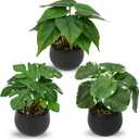 Briful 3PCS Fake Plants Potted Artificial Plants Mini Faux Plants in Black Ceramic Pots Greenery Dcor for Home Office Table Room Farmhouse Indoor Decoration (Type#2)