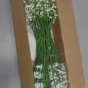 MARTINE MALL 36 Pcs Babys Breath Artificial Flowers, White Baby Breath Flowers Artificial Bulk Real Touch Fake Babys Breath Flowers Faux Gypsophila for Wedding Party Home Floral Arrangement Decor