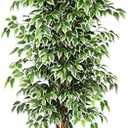 GTIDEA 6ft Artificial Tree Ficus, Tall Faux Trees Indoor with Natural Trunk and Fake Silk Tree Fake Plants for Home Spring Decor Living Room Outdoor Balcony House Office (Included Dried Moss)