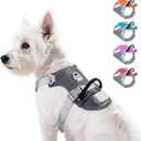 Taglory LED Dog Harness with AirTag Holder, No Pull Light Up Dog Vest for Night Walking, USB Rechargeable Pet Safety Harness with 2 Metal Clips, Adjustable Soft Vest for Small Dogs (Slate Gray, XS)