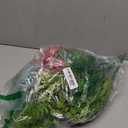 TURNMEON 16 Bundles 7 Styles Artificial Flowers for Outdoors Summer Decor, UV Resistant No Fade Outdoor Faux Plants Colorful Daisy Boston Fern Lavender Fake Flowers for Outside Indoor Gardens Home