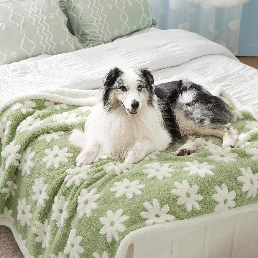 Lesure Waterproof Dog Blanket for Large Dogs - Washable Double Sided Dog Blankets with Warm Jacquard Shag and Soft Sherpa Fleece, Pet Cat Blanket for Bed Couch Protection, 3D Textured Cloud, Green (XL(50x60"), Flower Garden Green)