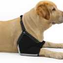 Coodeo Dog Elbow Protector with Adjustable Harness, Soft Breathable Sleeves for Wound Healing & Licking Prevention, D-Rings for Leash, Elbow Pads for Comfort, Designed for Large Dogs (Black, L)