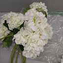 Suncalla 8 Pcs Ivory Hydrangea Artificial Flowers 18 Inch Valentines Faux Hydrangea Flowers with Stems Fake Bouquet Bulk Realistic Floral for Spring Summer Wedding Home Table Indoor Decoration