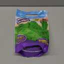 Kinetic Sand, The Original Moldable Sensory Play Sand Toys for Kids, Green, 2 lb. Resealable Bag, Ages 3+
