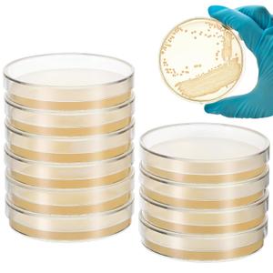 SHINEOFI 10pcs Nutrient Agar Petri Dishes, 7cm Pre-Poured Agar Plates for Laboratory Use School Projects and Research Science Experiment Prepoured Supplies