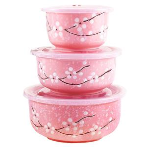 Whitenesser Food Storage Containers with Lids, Pink Ceramics Bowls Set with Lids  Japanese Microwave Nesting Mixing Bowls Set Serving Soup Salad Snack Noodle Friut(3 Piece Set)
