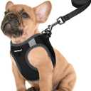 FAYOGOO Service Dog Vest for Small Breed - Lightweight Dog Harness with 6PCS Removable Patches - Puppy Harness and Leash Set for Walking,Training (XS, Black)