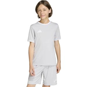 adidas Boys Entrada 26 Jersey (XX-Small, Team Light Grey/White)