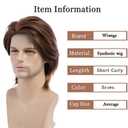 Mens Brown Wig Short Fluffy Natural Hair Synthetic Halloween Cosplay Costume Party Full Wigs