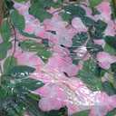 Sggvecsy 6Pcs Wisteria Garland Artificial Flowers Garland Fake Hanging Wisteria Vines Rattan Silk Hanging Flower Vines for Home Garden Outdoor Wedding Arch Party Ceremony Total 35.4Ft (Pink)