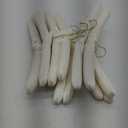 Padded Clothing Fabric Hangers for Women Clothing - Ivory, Set of 12. for Closet, Bride Hanger for Wedding Dress, Sweater Hangers