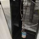 Avalon Bottom Loading Water Cooler Water Dispenser with BioGuard- 3 Temperature Settings - Hot, Cold & Room Water, Durable Stainless Steel Construction, Anti-Microbial Coating- UL Listed