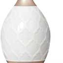 Young Living Desert Mist Ultrasonic Essential Oil Diffuser - Elegant Vase for Soothing Aromatherapy - Stylish Design for Home and Office Aroma Diffuser : Health & Household