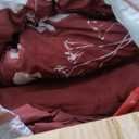 Bedsure Floral Burgundy Comforter Set, Queen Bedding Sets, 2 pillow case and under sheet and blanket cover