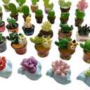 Miniature Potted Plants Resin Decoration 30pcs Random Set for Doll House Pretend Play Toys DIY Mini Home Garden Flowerpot Succulent Planter