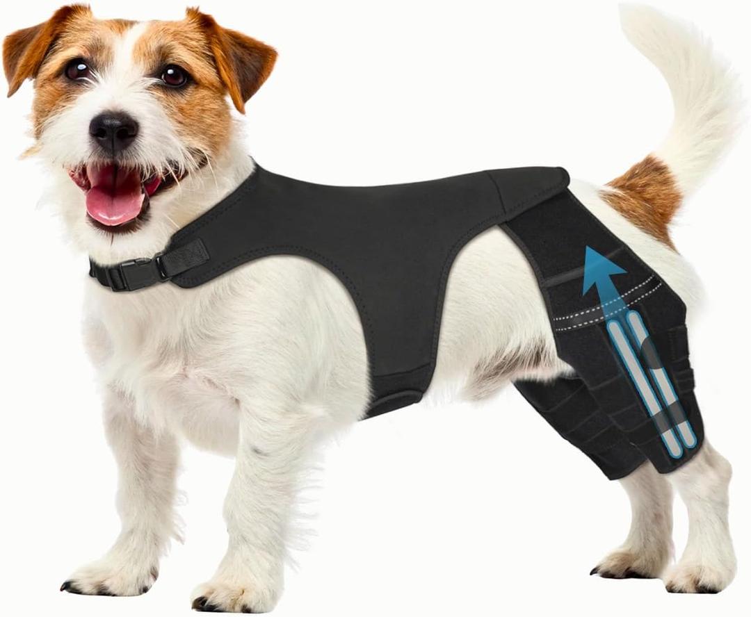 Dog Knee Brace for Torn ACL CCL Adjustable Dog Rear Leg Support Brace with 4 Metal Stabilizers, Helps with Luxating Patella, Ligament Injuries & Hip Dysplasia,S