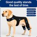 Dog Rear Knee Brace, Hind Leg Support for Canine ACL Injury Recovery, Prevention from Injury, Adjustable, Easy to Use and Joint Stability (Black, M)