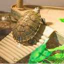 Allpdesky Decorative Turtle Pier Floating Basking Platform with Ramp Ladder