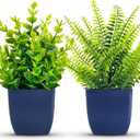 Der Rose 2 Pack Fake Plants Small Artificial Plants in Blue Pots Faux Plants Indoor for Home Room Bathroom Living Room Decor