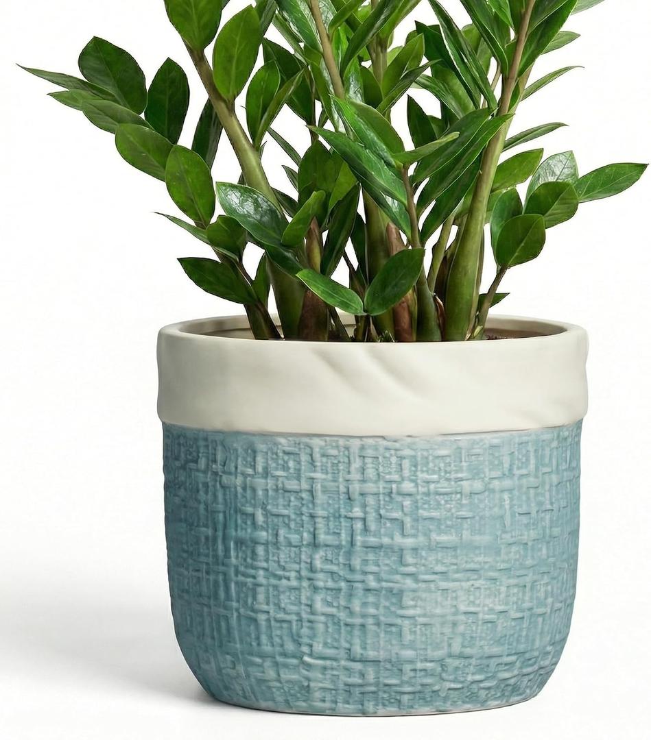 9.8 Inch Plant Pot - Ceramic Pots for Plants with Drainage Hole, Boho Plant Pots for Indoor Outdoor Plants, Decorative Round Planters, Porch Office Home Decor, Housewarming Gifts, Blue
