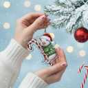 Pig Christmas Ornament 2025 2D Flat  Acrylic Holiday Tree Hanging Decoration  Cute Farm Animal Hugging Candy Cane Ornament, Pig Lover Gift, Rustic Christmas Keepsake 2025