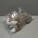 19 inch 3 Lbs Cat Weighted Stuffed Animals, Realistic Weighted Cat Stuffed Animal, Sensory Comfort Plush Throw Pillow, Soft Kawaii Stuffed Kitty Plush Toy Gift for Adults Kids Youth (Brown Tabby Cat)