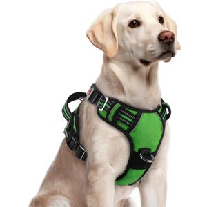 rabbitgoo Dog Harness for Large Dogs, No Pull Pet Vest with 3 Buckles, Adjustable Soft Padded Pet Harness with Easy Control Handle and Reflective Strips, Green, L