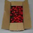 Waipfaru 45 Pcs Christmas Artificial Pine Branches, 12.9" Faux Evergreen Norfolk Pine with Red Berry Stems, Greenery Fake Pine Needles Picks Flowers for Xmas Vase Table DIY Craft Home Decorations