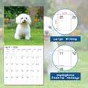 2 x windrio 2026 Wall Calendar, Calendar 2026, July 2025 - December 2026, Wall Calendar Maltese, 12" x 24" Opened,Full Page Months Thick & Sturdy Paper for Calendar Organizing & Planning
