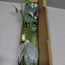 YXZZWL Artificial Greenery Stems Box Set65 Pcs with 8 Kinds of Faux Greenery Branches Fake Eucalyptus for Wedding DIY Bouquets Floral Arrangement Table Centerpieces (Dusty Green & White)