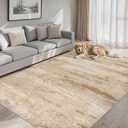 6x9 Area Rugs for Living Room - Washable Rug Modern Abstract Soft Large Neutral Non-Slip Carpet Indoor Floor Stain Resistant Thin Carpets for Bedroom Dining Room Farmhouse Nursery Home Office Beige